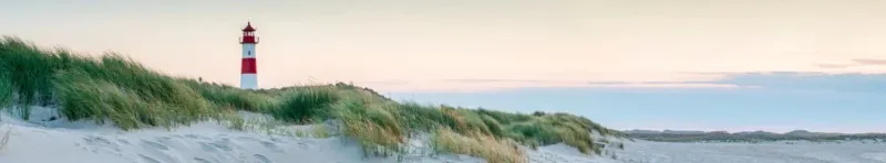 1-53174310371595-54642029625611.jpeg