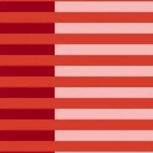 1-53285785665803-64553847783691.jpeg