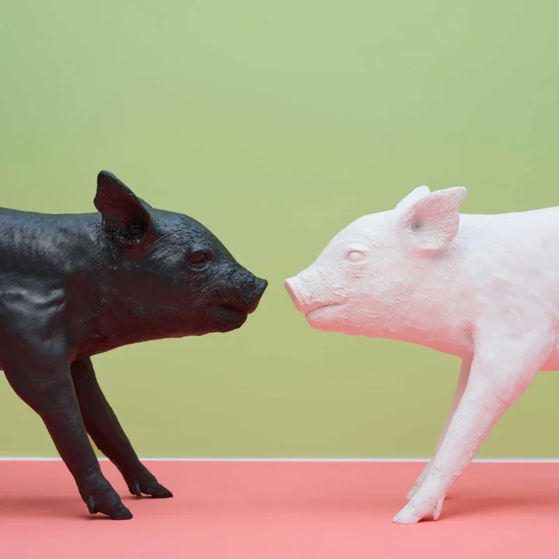BANK in form of a PIG - großes Sparschwein | Harry Allen | Areaware