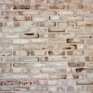 Duschrückwand-Braune verschimmelte Ziegelmauer