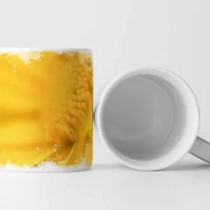 616151378_TASSE8c5UZq5HMLIhU_1280x1280.jpg